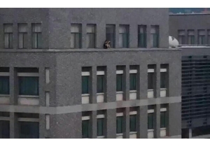 ��ѧѧ����¥���⿴�� ���κη�����201...